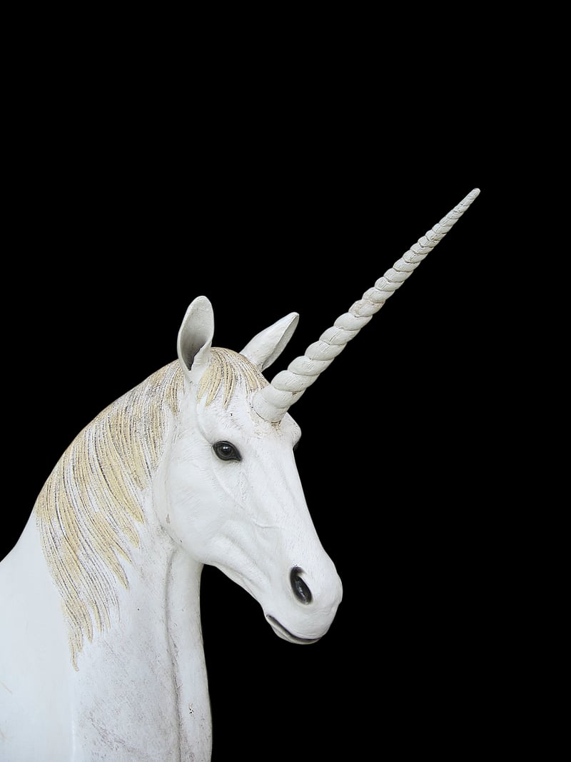 Unicorn Decor